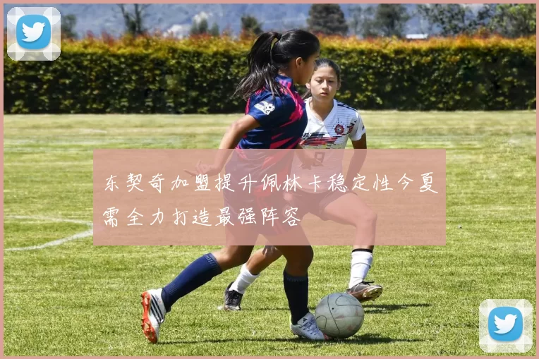 东契奇加盟提升佩林卡稳定性今夏需全力打造最强阵容